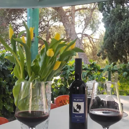 Διαμέρισμα Fantasie Τρογκίρ