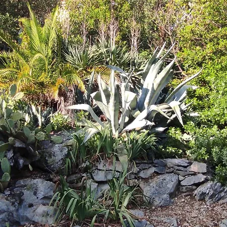 Lägenhet Fantasie